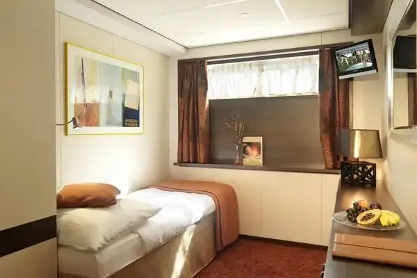 C-SNG.webp