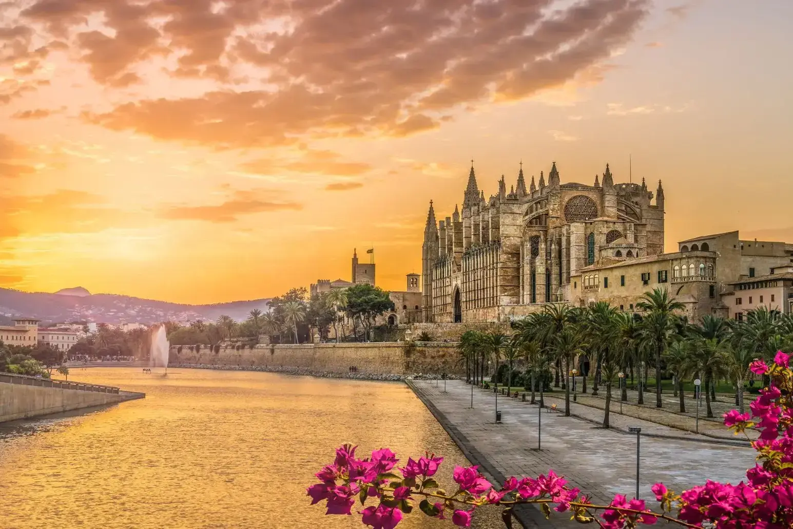 132_Palma de Mallorca.webp