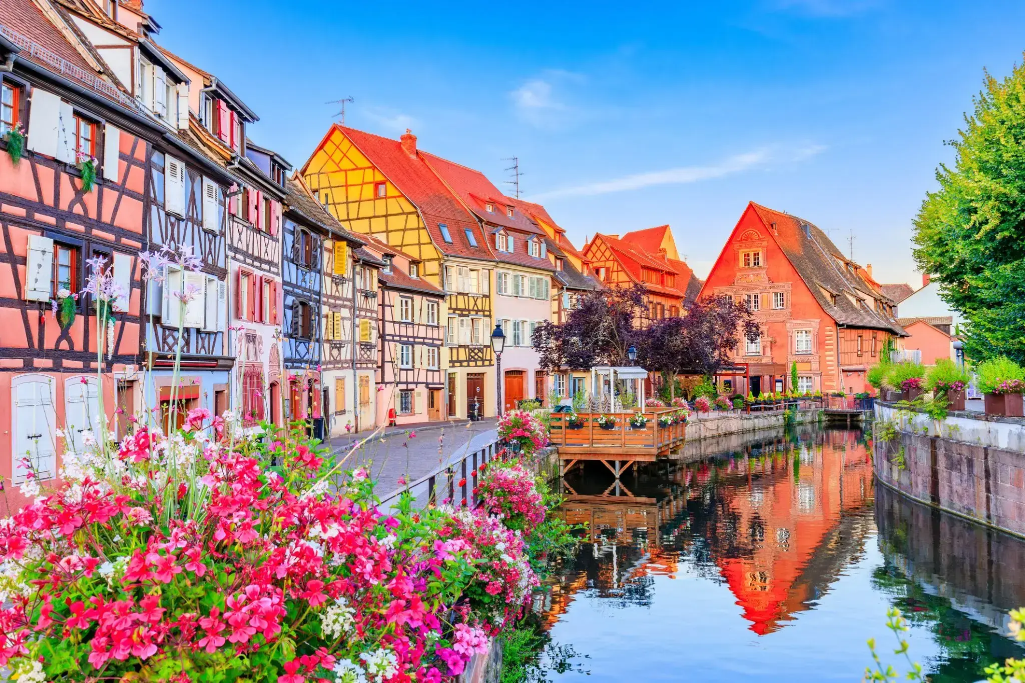 2385346_Colmar.webp