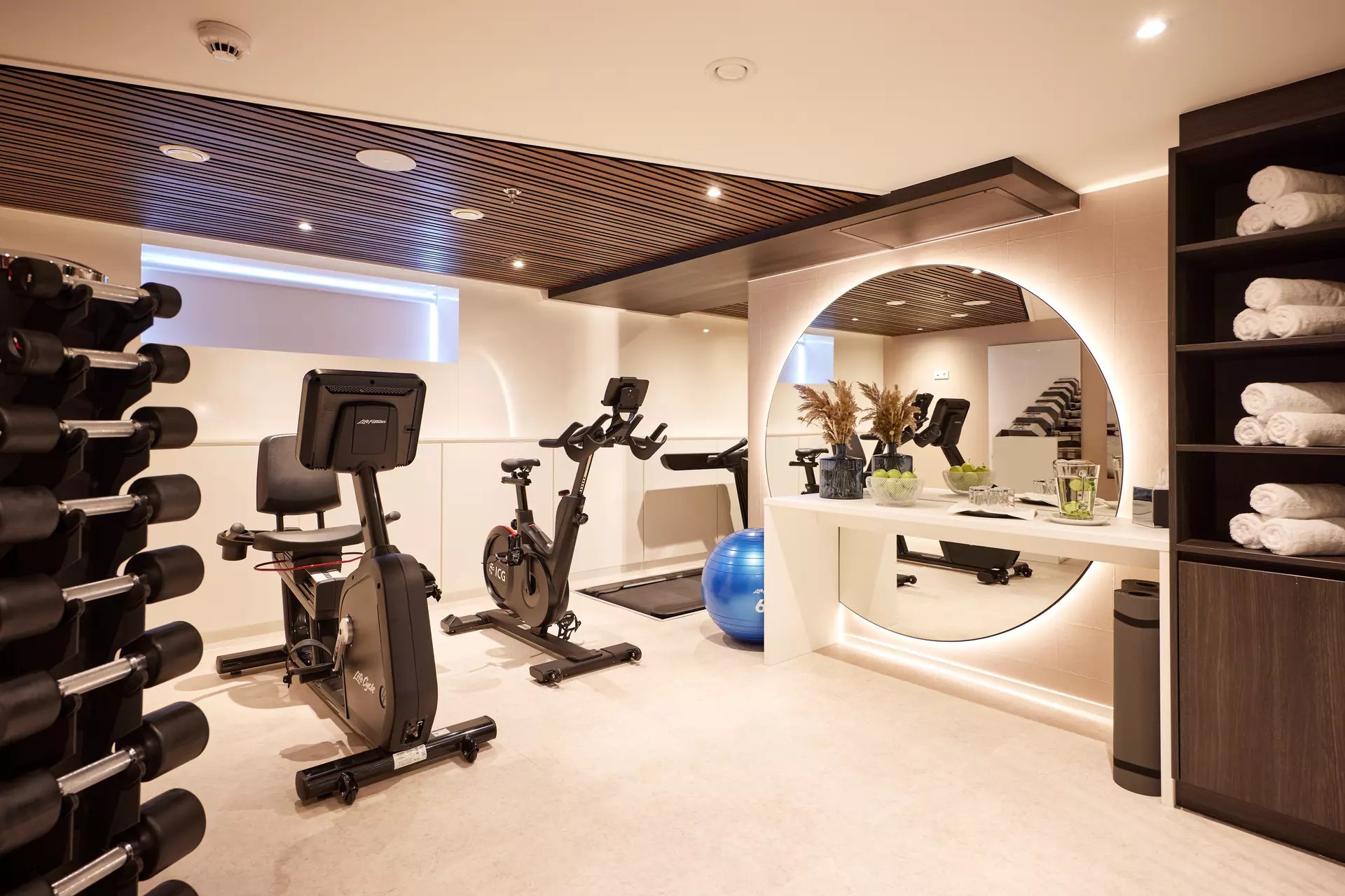 csm_Lueftner_Cruises_AMADEUS_Riva_Fitness_Room_16c16ad1b1.jpg