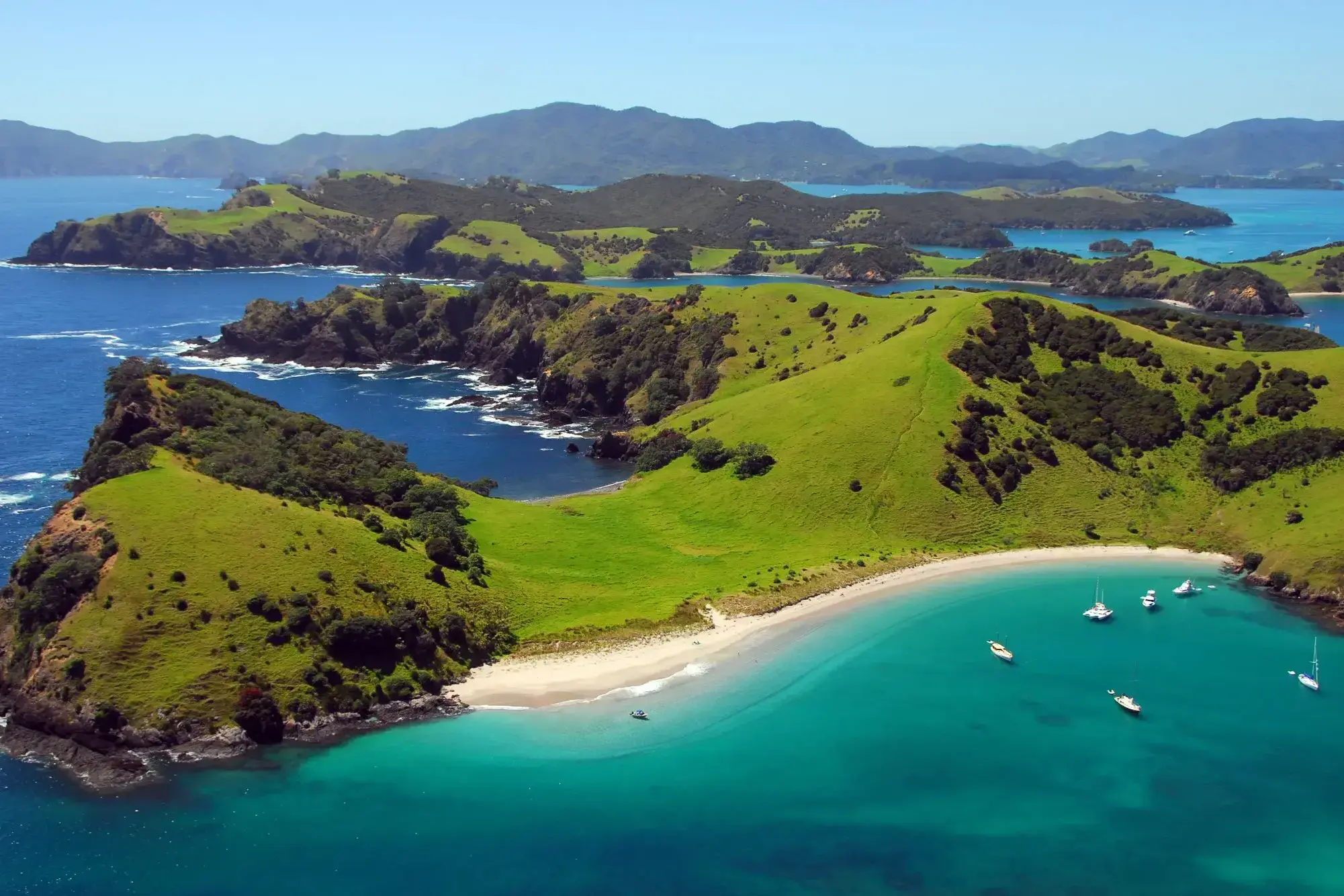 555_Bay of Islands.webp
