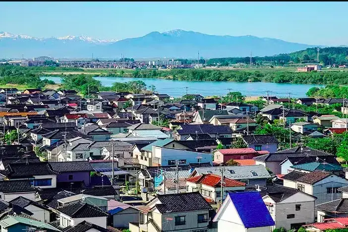 2384946_Sakata.webp
