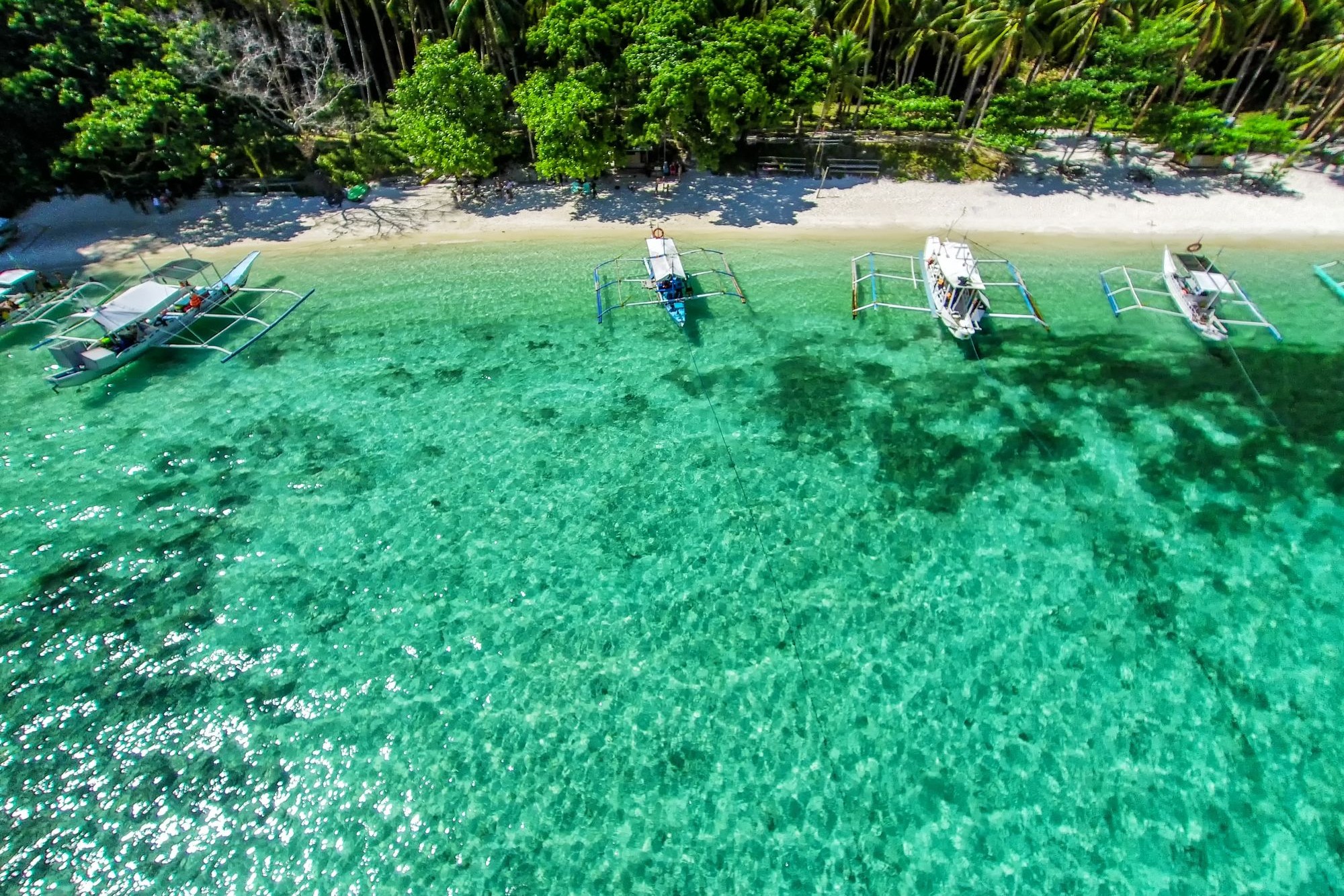 37757_Puerto Princesa.jpg