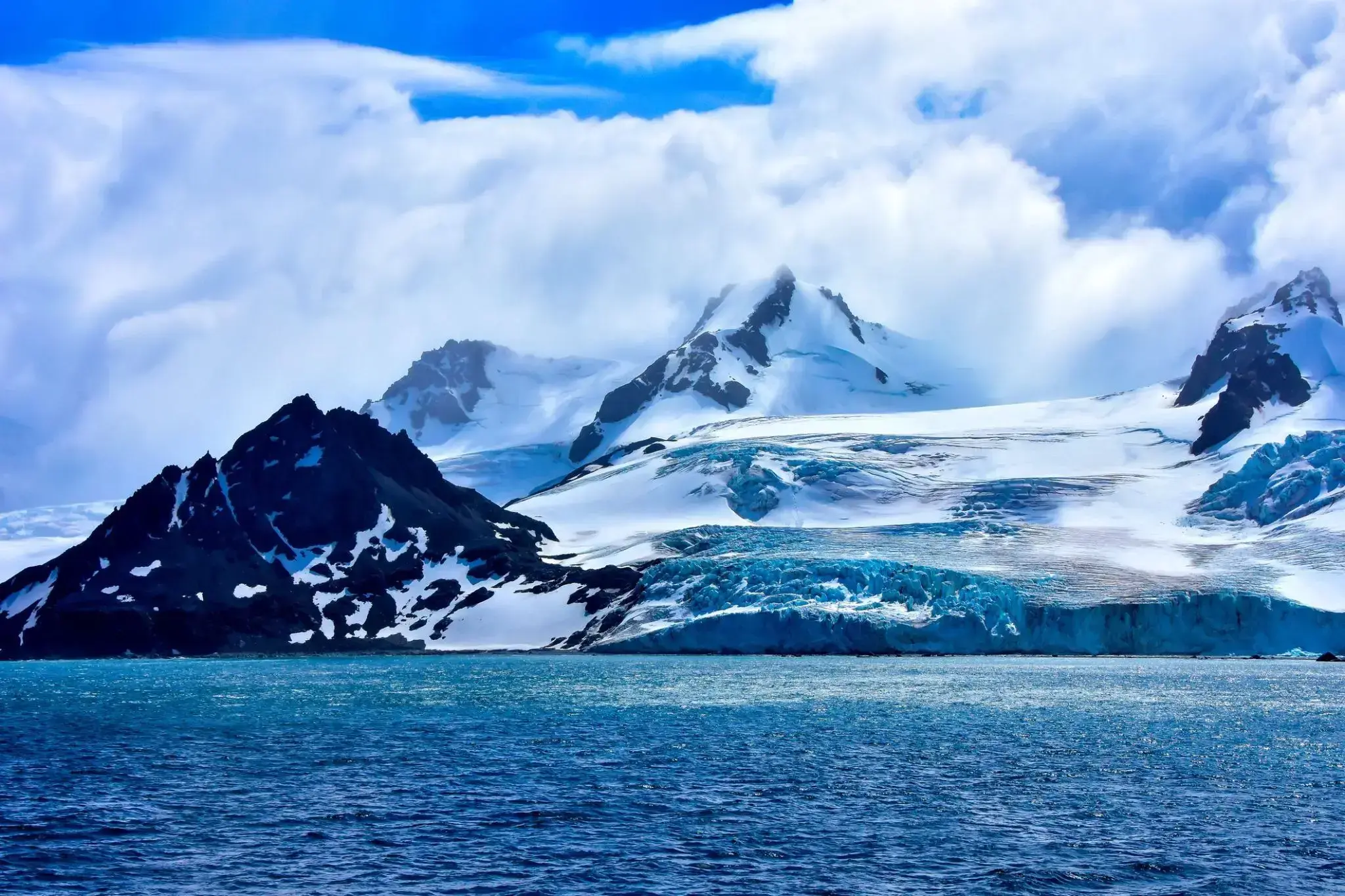 36751_Elephant Island (Mordvinova).webp