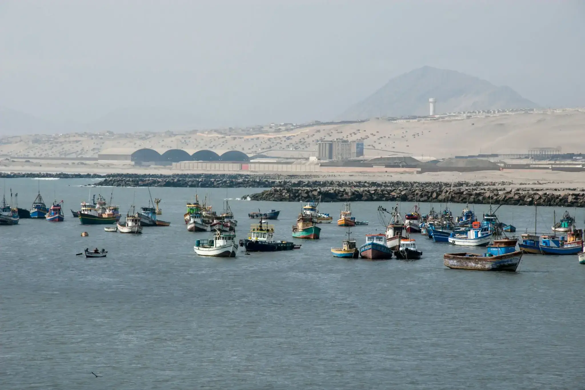46636_Salaverry.webp