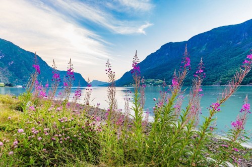 Skjolden / Norway