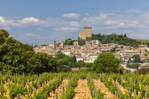 Chateauneuf-du-Rhone / France