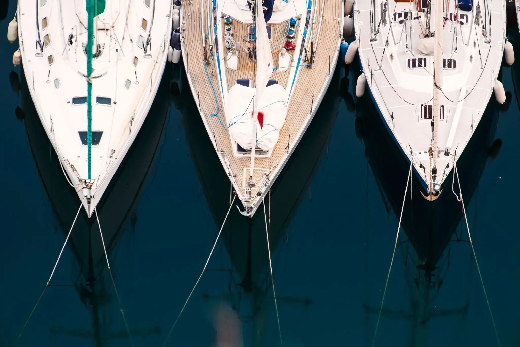 2389569_Gallician.webp