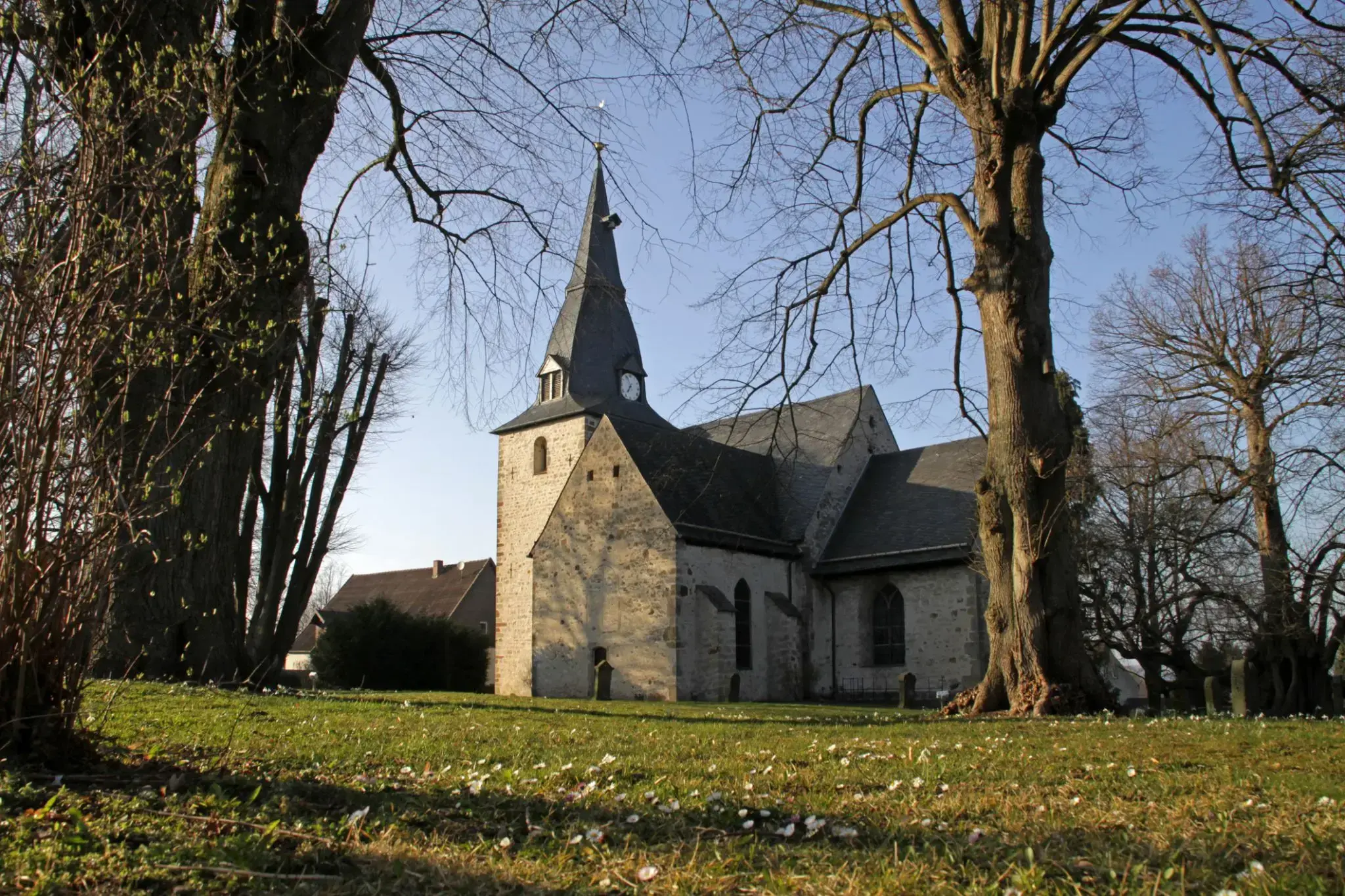 2389520_Sülfeld .webp