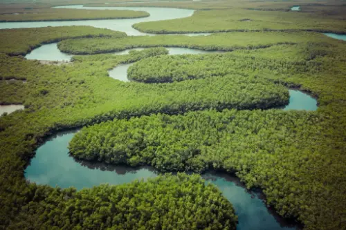 Amazonia – Cruise