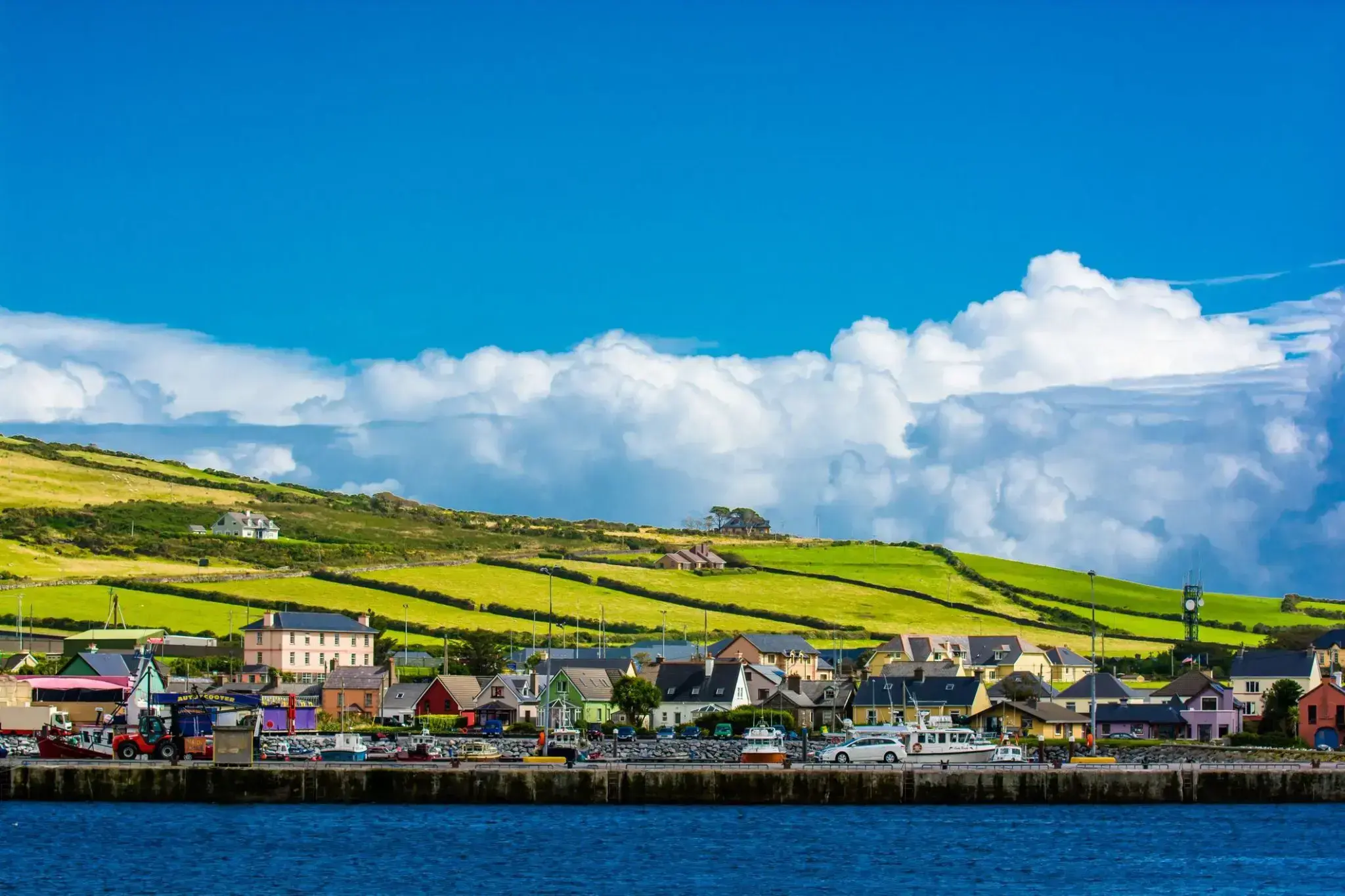 2387258_Dingle.webp