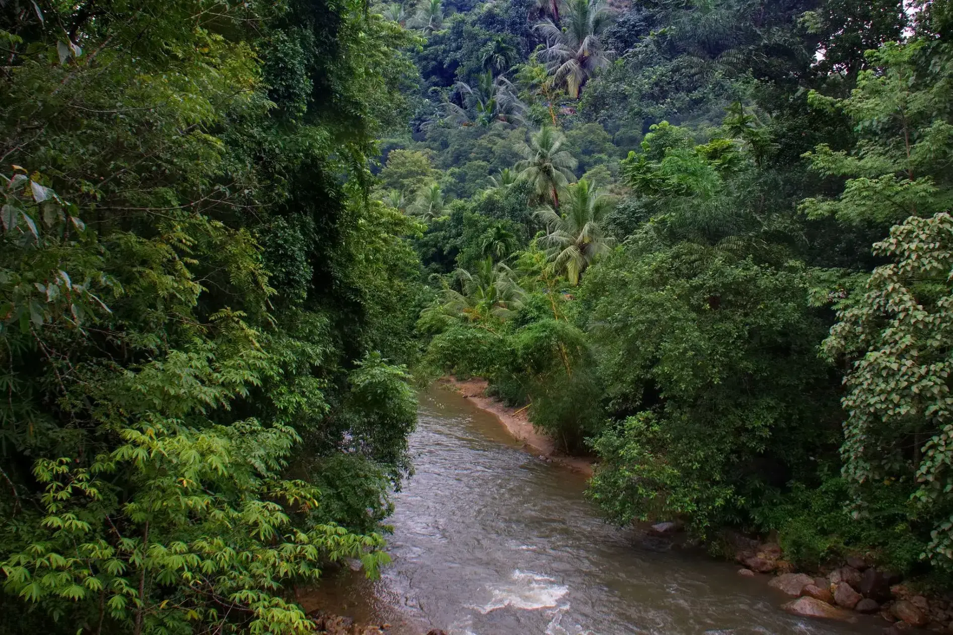 46385_Samana Del Norte.webp