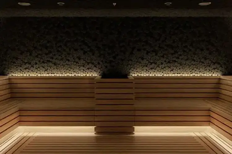 Charcoal_Sauna.webp