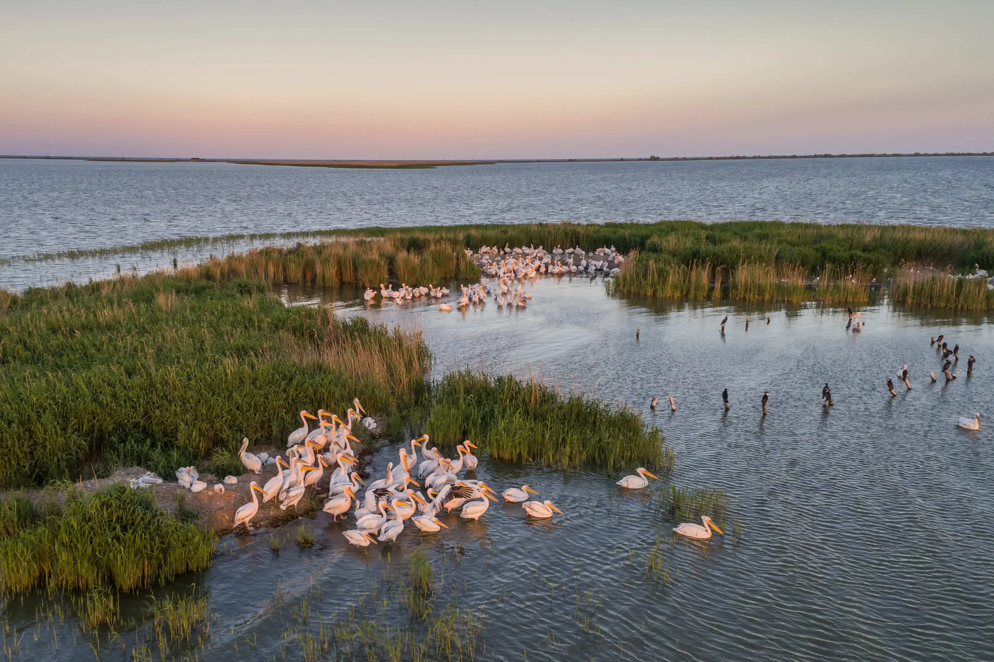 Danube_Delta_shutterstock_656181136.webp
