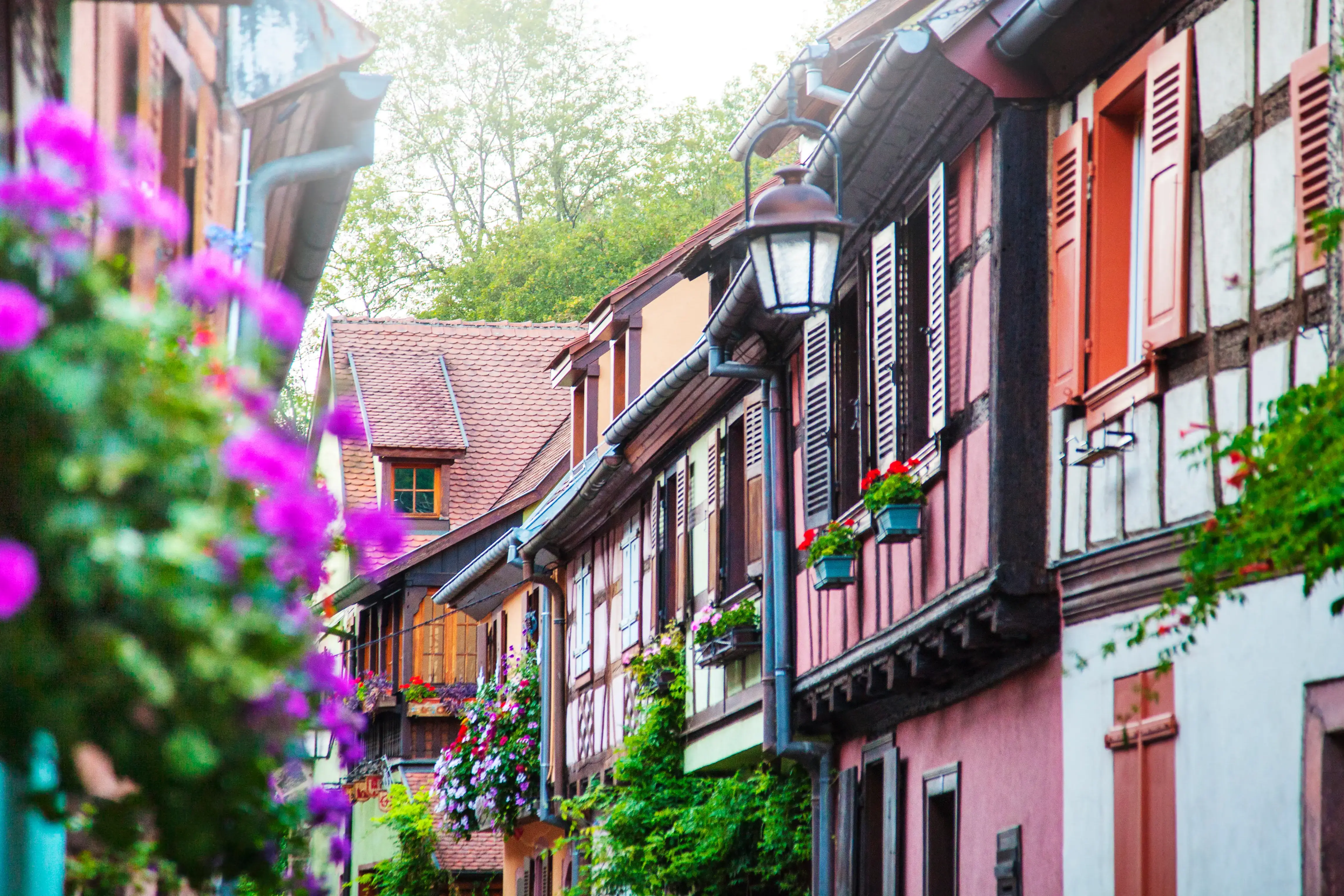 elsass-adobestock-227118524.webp