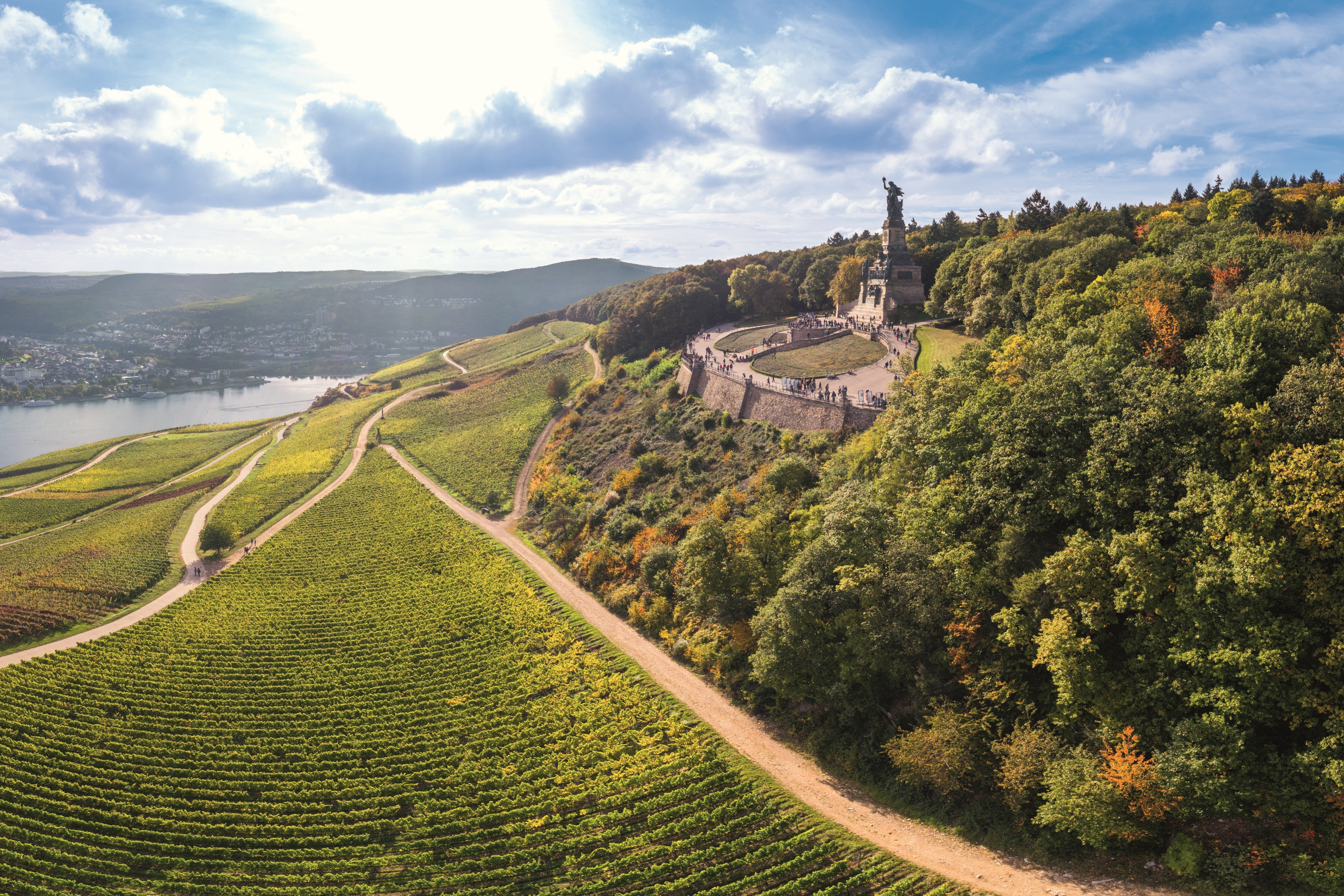 Lueftner_Cruises_Amadeus_Rhine_Germany_Ruedesheim_Fall__c_RHG-3154_RuedesheimTouristAG_WoodyTHerner_01.jpg