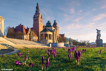 allemange-rhin-stralsund-croisieurope-vignette-sbl-shutterstock